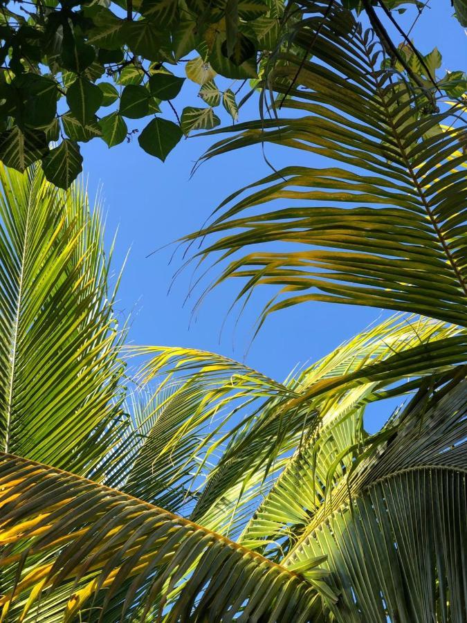 Sunshine Hotel Little Corn Island Esterno foto